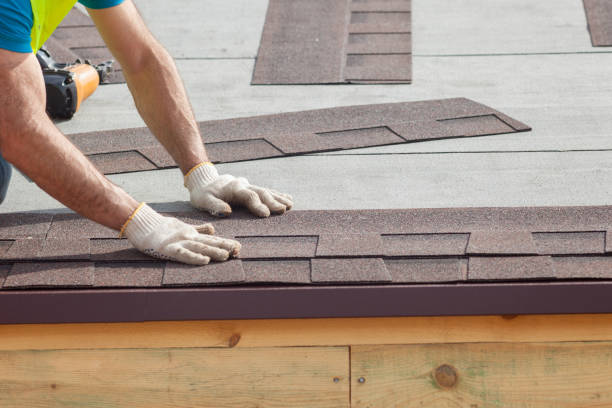 Best Roof Maintenance and Cleaning  in Island Walk, FL